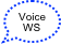 Voice WS